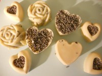 /album/fenykepgaleria/dscn2895-jpg/