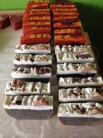 /album/fenykepgaleria/hizio-jpg/